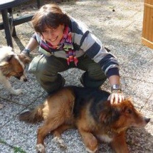 Foto di Ilaria, Addestratore a Cologno monzese