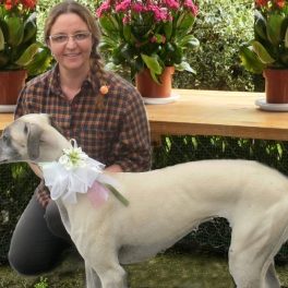 Foto di Sheila, Petsitter a Belluno