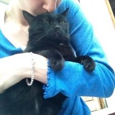 Foto di Cinzia, Petsitter a Belluno