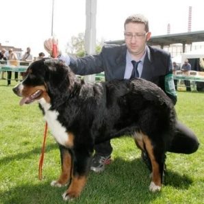 Foto di Danilo, Dog Walker a Turate