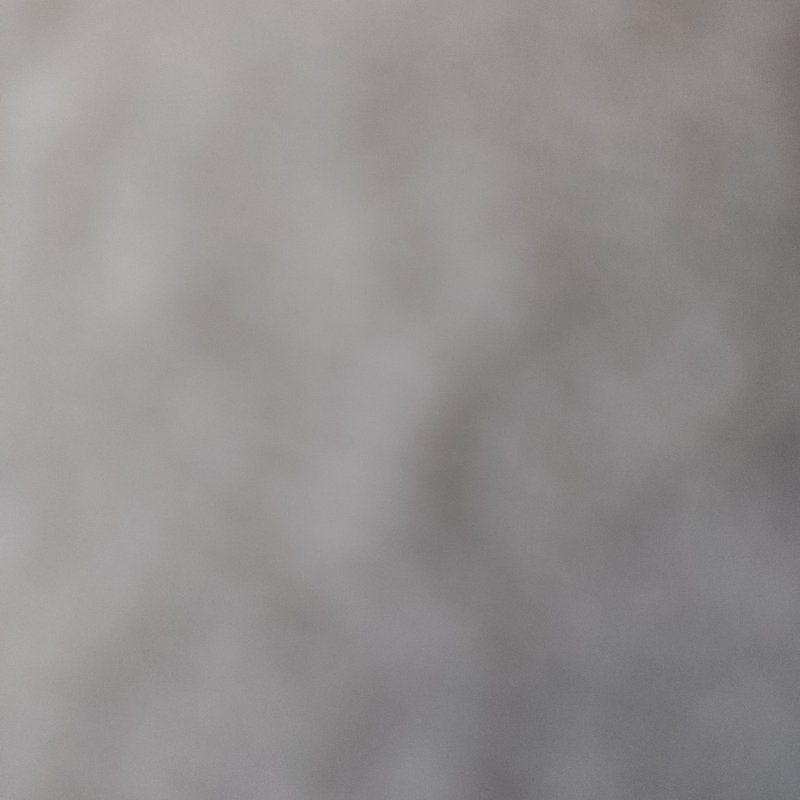 Foto di Alessia, Custode a Reggio emilia