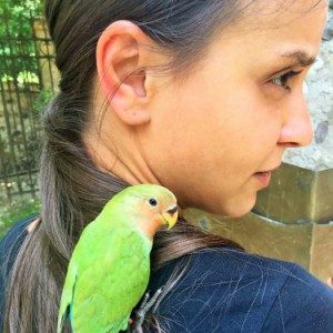 Foto di Ambra, Addestratore a Castiglione delle stiviere