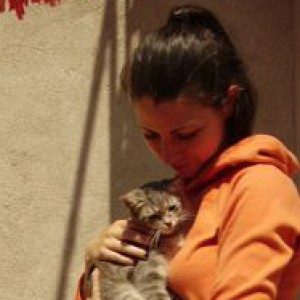 Foto di Linda, Petsitter a Alzano lombardo
